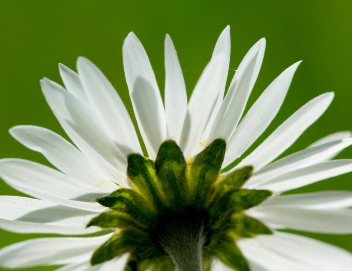 Общетерапевтическая - Санаторий «Лесная Поляна» Пятигорск