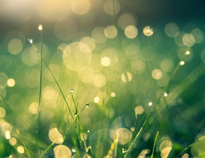 Программа «Всё включено» - Санаторий «Лесная Поляна» Пятигорск