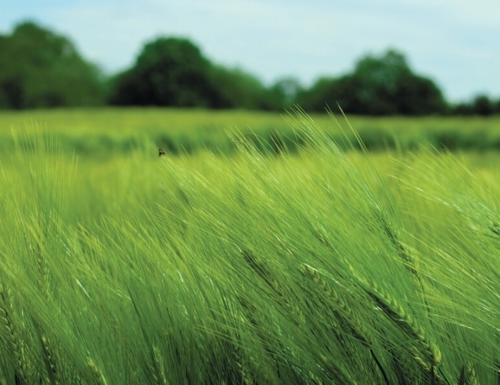 Заболевания и травмы центральной и периферической нервной системы и др. - Санаторий «Лесная Поляна» Пятигорск